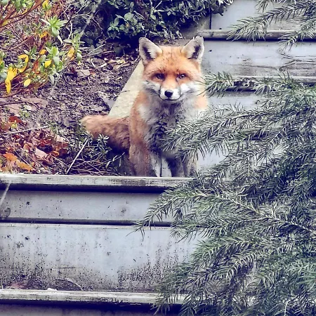 W'allons Nous Отель типа 